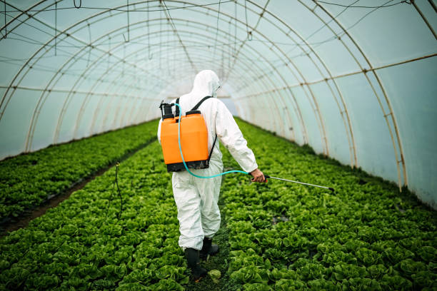 Best Pest Prevention Services  in Fortuna Foothills, AZ