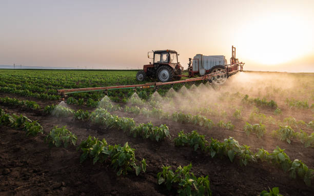  Fortuna Foothills, AZ Pest Control Pros